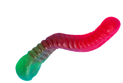 A gif of a red and green gummy worm, animated to look like it's wiggling.
